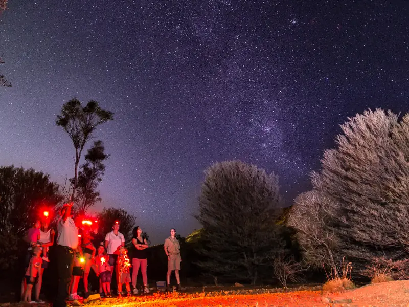 Nocturnal tour Alice Springs Desert Park