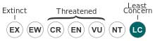 Least concern conservation status