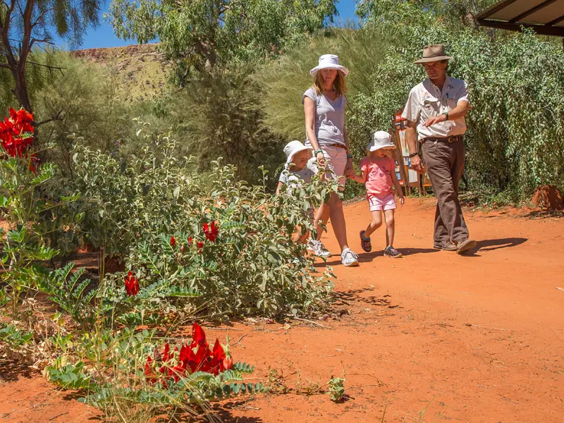 Guided walk Alice Springs Desert Park