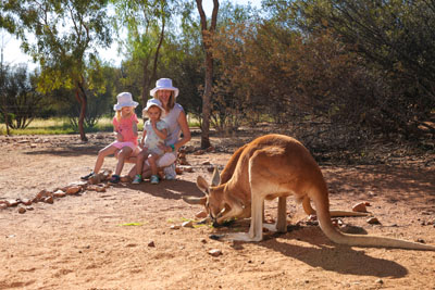 Kangaroo with family